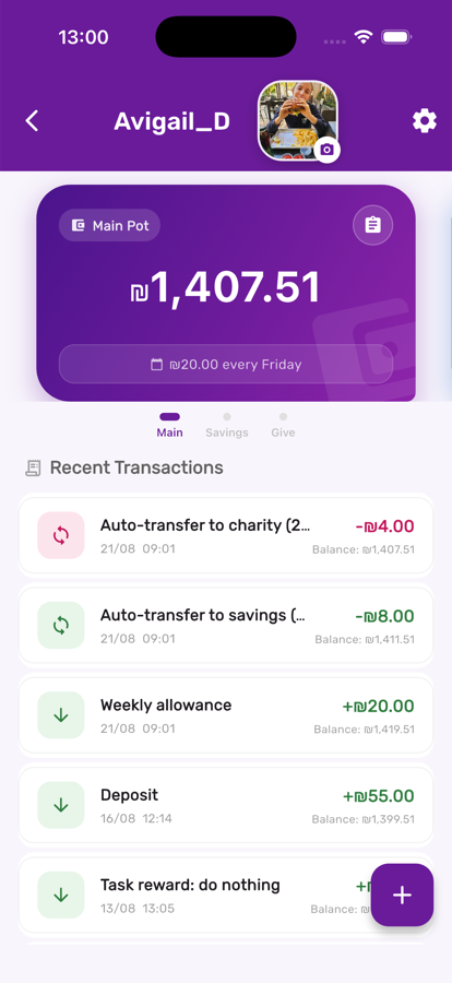 Main pot balance and transaction history in Kupa3